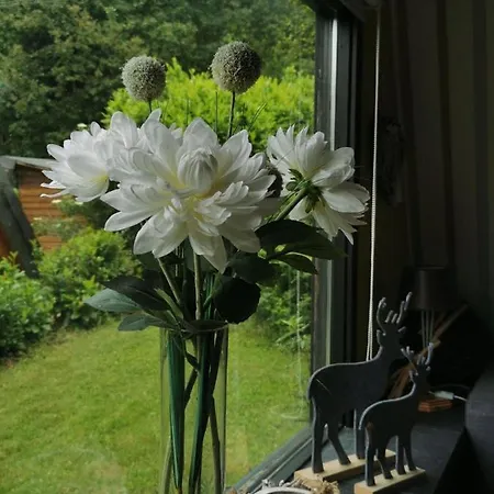 Ferienhaus-erlenwald Casa de Férias *